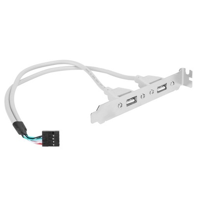 2-portowy kabel panelu tylnego USB2.0