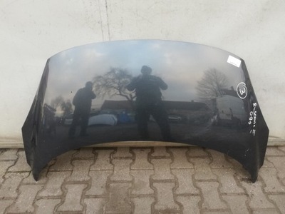 Капот renault scenic iii nowa oryg 651008842r фото №1