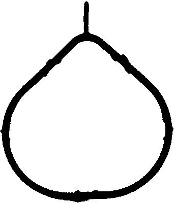 Прокладка колектор впускний hyundai accent ii 1.5 00- фото №1