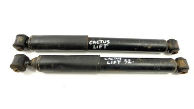 Citroen c4 cactus lift амортизатор задняя 9820952980 фото №1