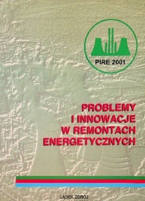 Problemy I Innowacje W Remontach Energetycznych