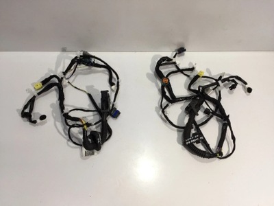 Nissan leaf ii 2019 жгут электропроводка дверь перед фото №1