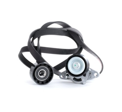 Набор ремень клиновой ridex 542r0019 do renault clio ii bb0/1/2, cb0/1/2 фото №1