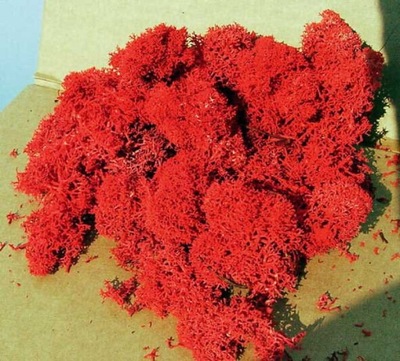 Mech (chrobotek) czerwony 30 g, Heki 3213
