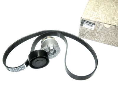 Натягувач ремінь генератора logan sandero 1,5 dci фото №1