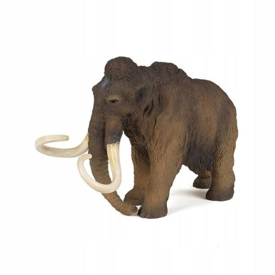 MAMUT, PAPO