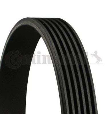 BELT MULTI-RIBBED CONTINENTAL CTAM 6PK2055  