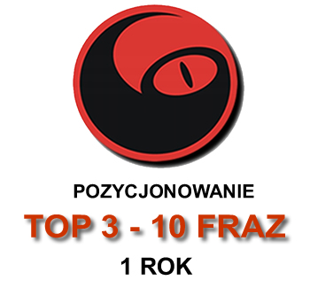 POZYCJONOWANIE STRON GOOGLE TOP3 10 FRAZ POZYCJONOWANIE STRON WWW LINKI SEO