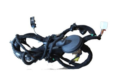 Джгут двері перед правий vw atlas 3cn971121bt фото №1