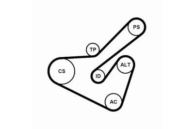 CONTINENTAL CTAM КОМПЛЕКТ PASKÓW WIELOROWKOWYCH Z ROLKAMI CITROEN XSARA