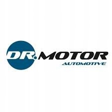 DR.MOTOR DRM01419S SET USZCZELEK, COVERING CYLINDER HEAD CYLINDER  