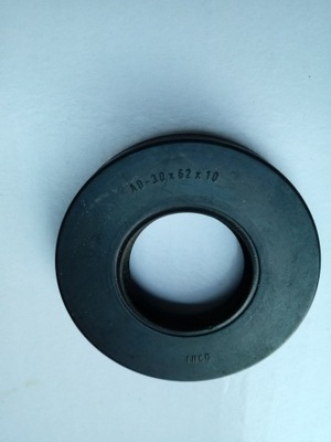 Simmering 30x62x10 INCO