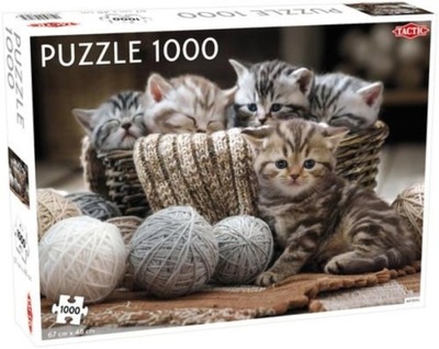 Puzzle 1000 elementów. Małe kotki