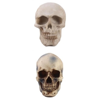 2 szt. Halloweenowe czaszki głowy czaszki szkielet