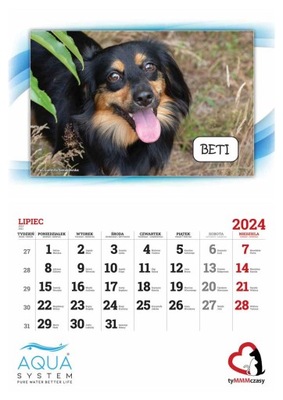 Kalendarz ścienny 2024 cegiełka