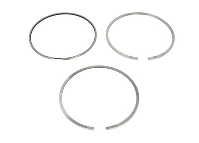 Kpl кілець поршня mercedes actros фото №1