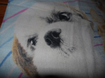 Duzy ręcznik w psy