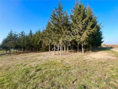 Działka, Gąba, Mszczonów, Żyrardowski, 1802 m²