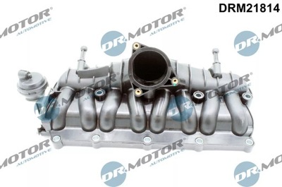 DRM21814/DCM MANIFOLD INTAKE  