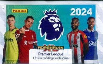 SASZETKA Z KARTAMI PREMIER LEAGUE 2024 PANINI