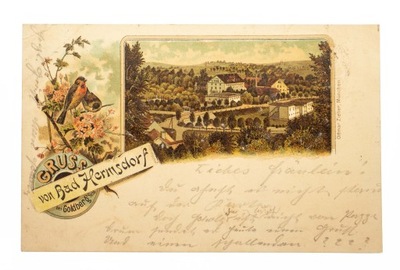 JARZMANICE-ZDRÓJ k. ZŁOTORYI - PANORAMA 1900