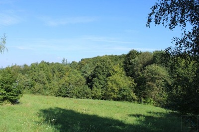 Działka, Gdów (gm.), 5300 m²