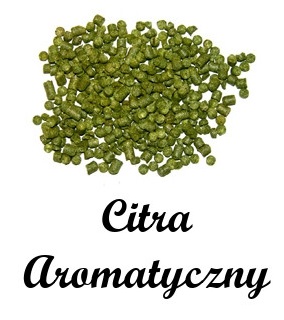 Chmiel CITRA granulat 100 g zbiór 2022