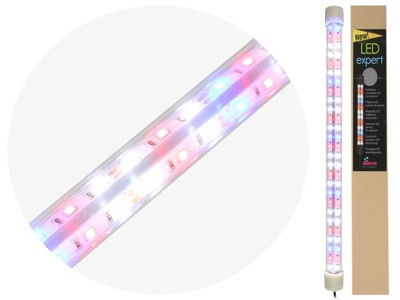 DIVERSA Świetlówka Led Expert Kolor 10W (40cm)