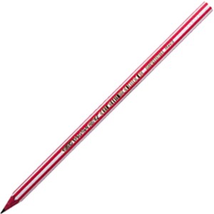 Ołówek Bic Evolution kolorowy bez gumki HB
