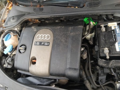 Двигун стійку  vw golf v passat audi a3 1.6 fsi фото №1