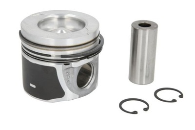 Поршень renault f9q 80.00mm std фото №1