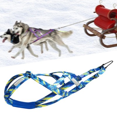 Szelki dla psa profesjonalne dla średnich i dużych psów Skijoring Dog L Niebieski