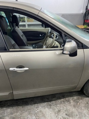 Дверь scenic iii tehnk фото №1