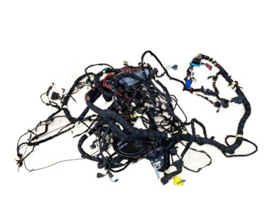 Alfa romeo giulia жгут провода салона кабины фото №1