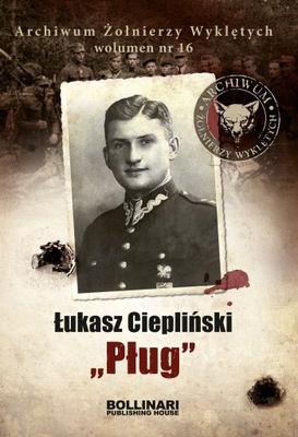 Pług