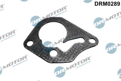 FORRO DE BOMBA VACUUM RENAULT/NISSAN 2,5 DCI  