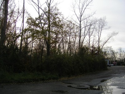 Działka, Zabrze, 2505 m²