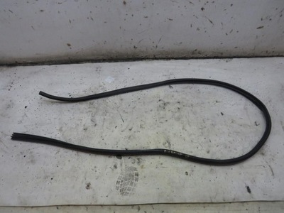 Прокладка двері правий задня ford ecosport фото №1