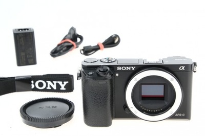 Sony A6000 ILCE-6000 body, przebieg 53246 zdjęć