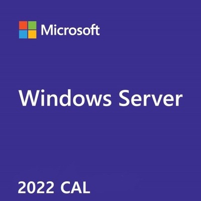 Microsoft Windows Server CAL 2022 Polish 1pk DSP OEI 5 Clt User CAL