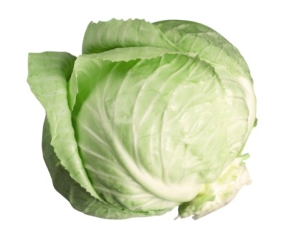 KAPUSTA BIAŁA GŁÓWKA świeża 5 KG - OD ROLNIKA własna uprawa KASZUBY