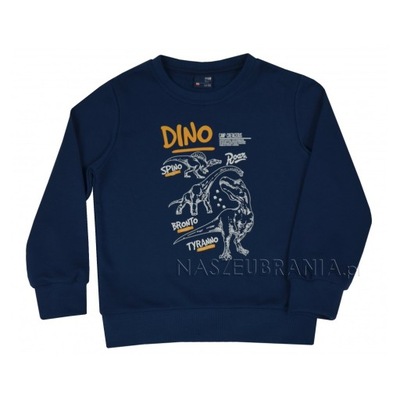 BLUZA BAWEŁNA CHŁOPIEC GT R.104