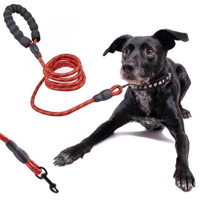 Smycz dla psa treningowa na lince wytrzymała odblaskowa 2m