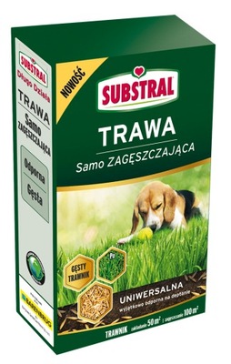 SUBSTRAL BARENBRUG TRAWA UNIWERSALNA ZAGĘSZCZAJĄCA