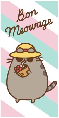 SZYBKOSCHNĄCY RĘCZNIK PUSHEEN THE CAT BON MEOWAGE 70x140