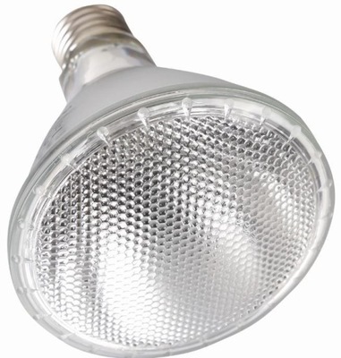 HALOGEN GRZEWCZY EMITUJĄCY DUŻO CIEPŁA 100W