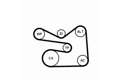 CONTINENTAL CTAM KOMPLEKTAS PASKOW WIELOROWKOWYCH Z ROLKAMI AUDI A1 A3 