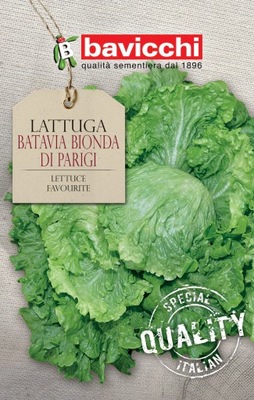 acm Sałata Batavia Bionda Di Parigi.Włoskie nasiona Bavicchi. 5g