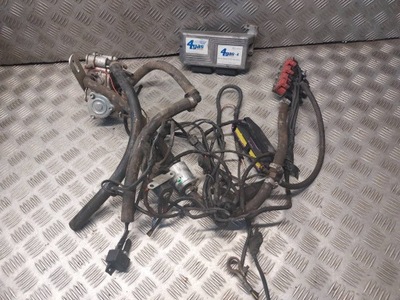 Електропроводка газова lpg primera p11 4gas-4 67r-01428 фото №1