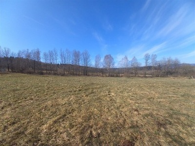 Działka, Sierpnica, 1351 m²